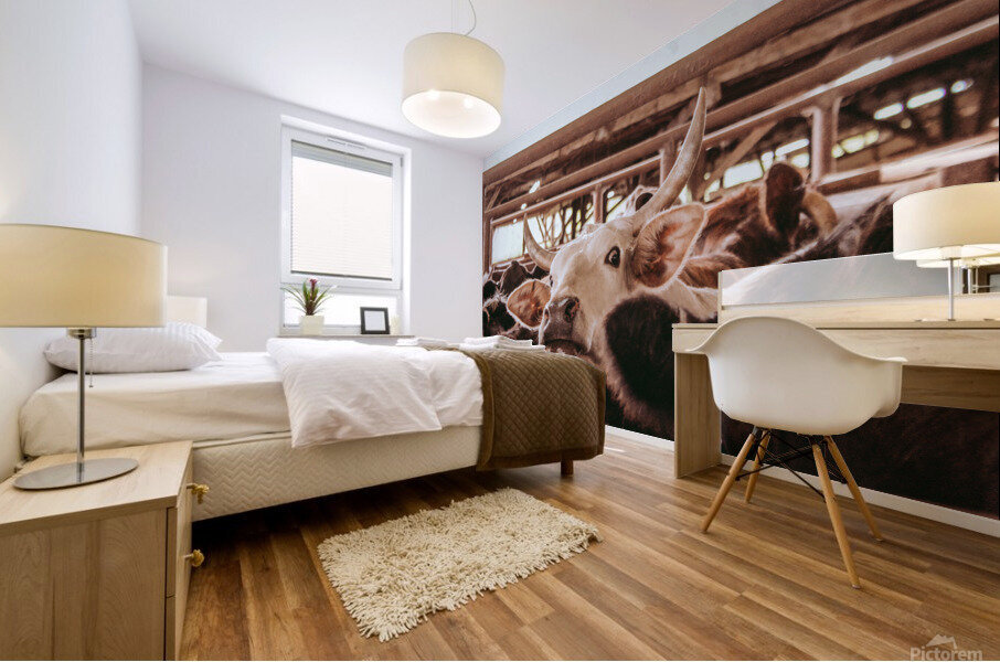 Take The Bull By The Horns Mural print