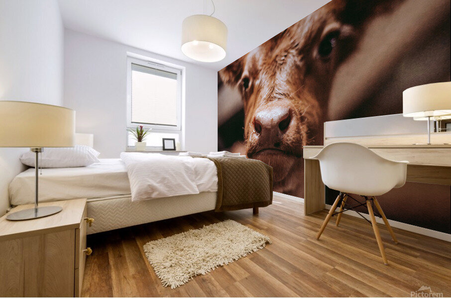Cute Calf Mural print
