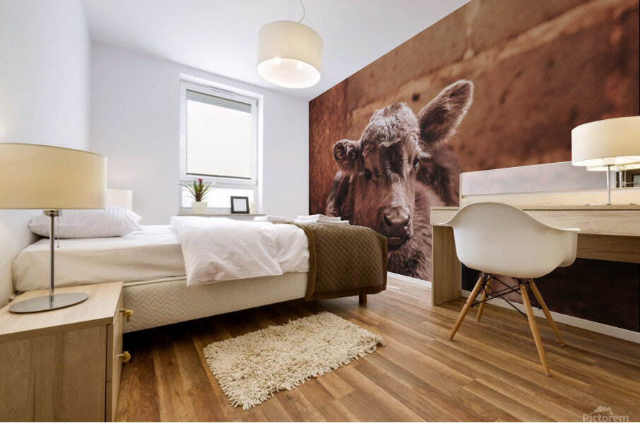 Calf Mural print