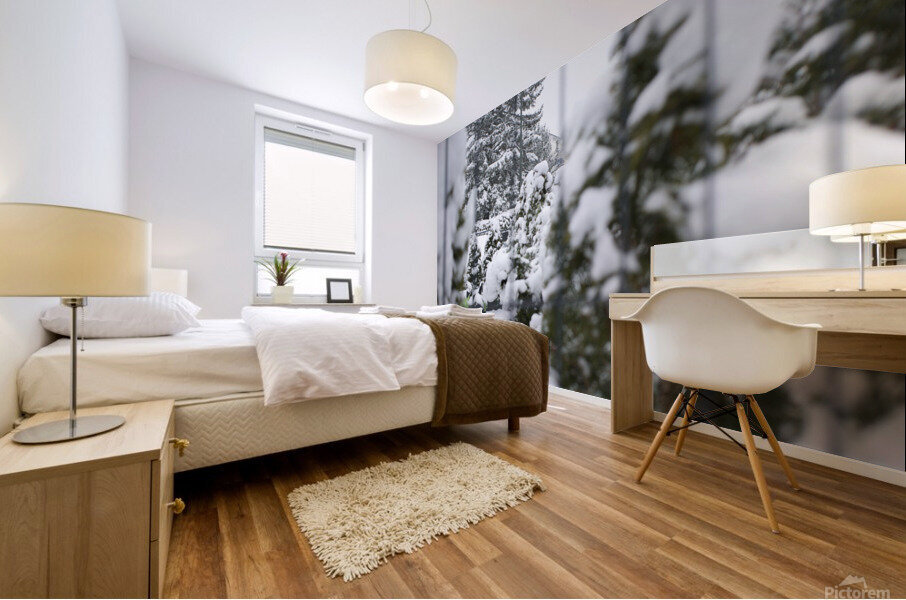 Snow days 8 Mural print