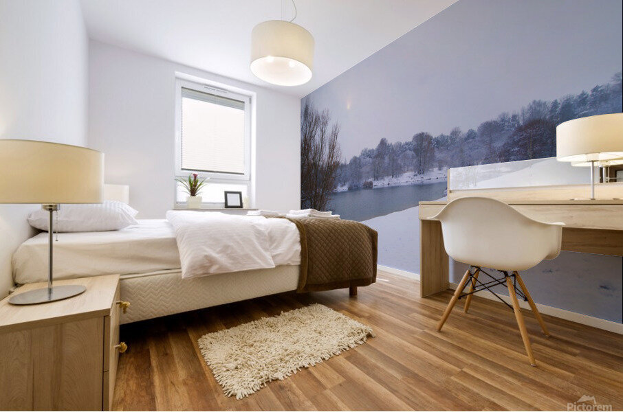 Snow days 1 Mural print