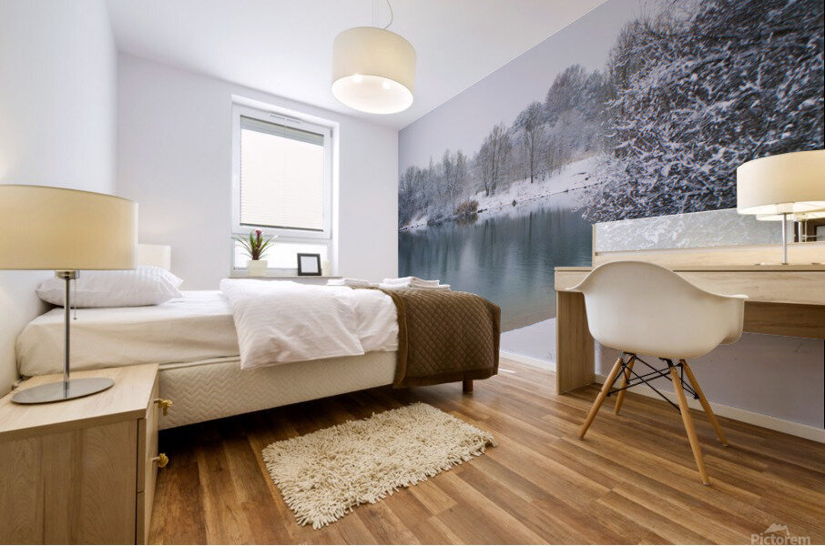 Snow days 6 Mural print