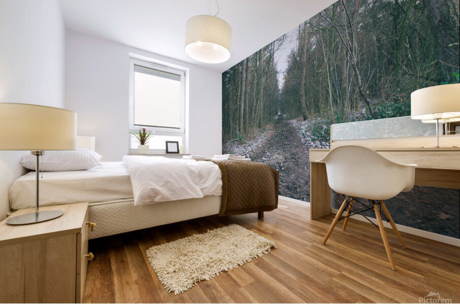 Lonely walk 9 Mural print