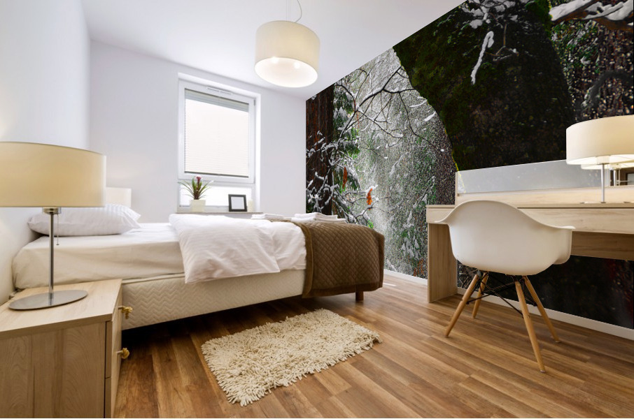 Blown Snow Mural print