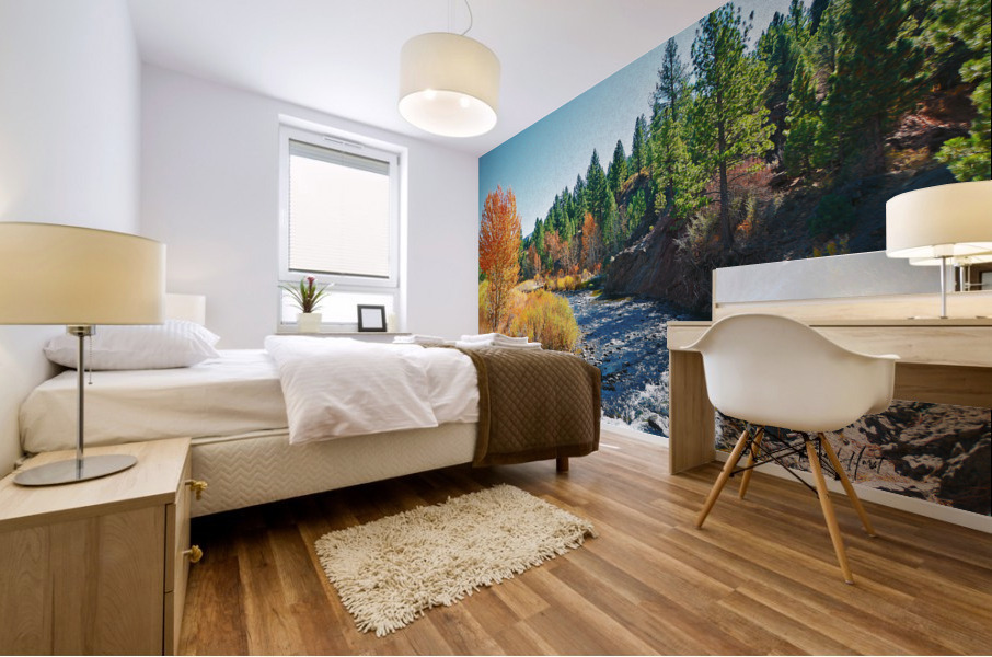 Carson River Mural print