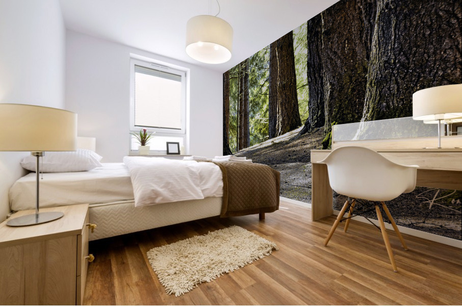 Coastal Forest Mural print
