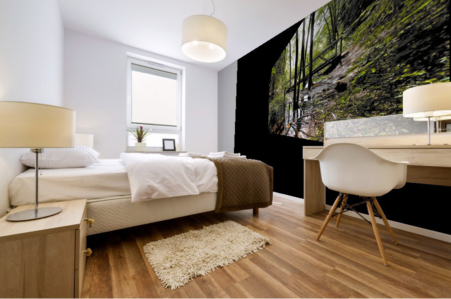 Creek Crossing Mural print