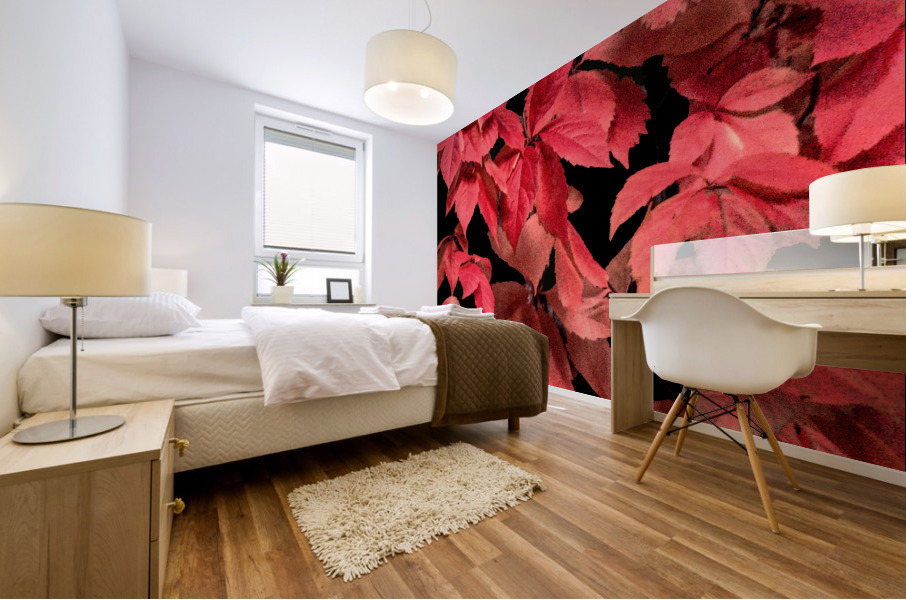 Coral Rose Mural print