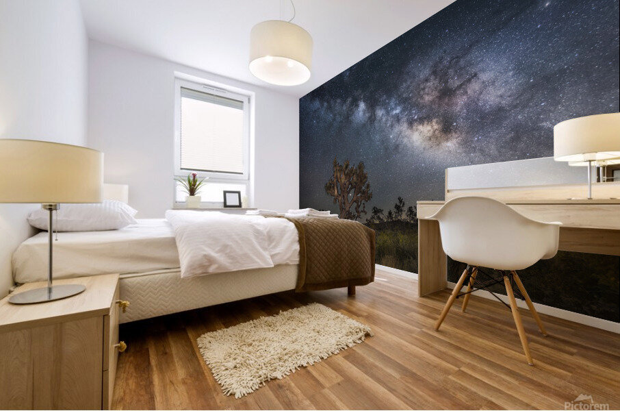 Joshua and the sky Mural print