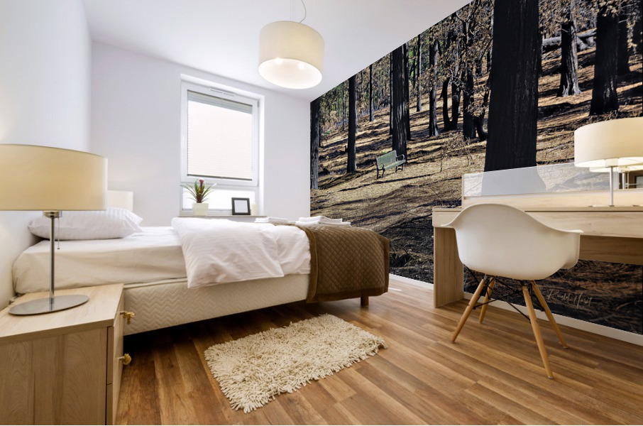 A Lonely bench  just waiting  Mural print