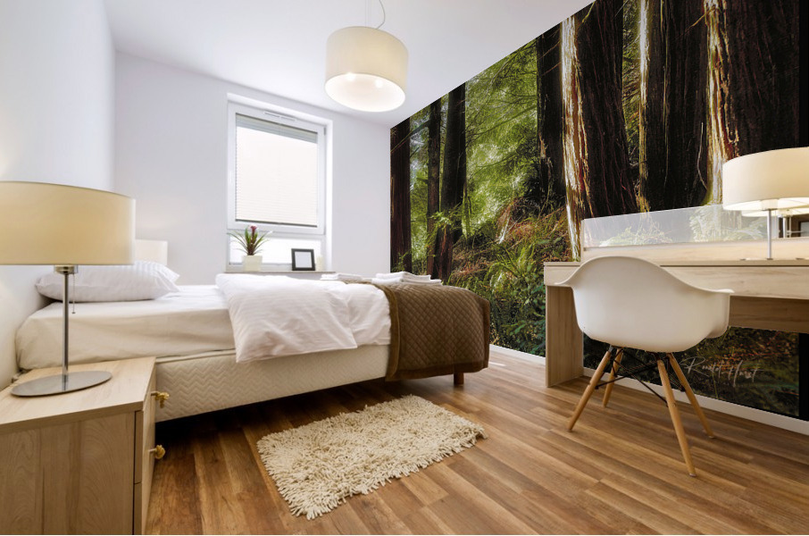 Early Morning Mural print