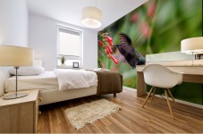 Hummingbird Mural print