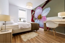 Red Flower Mural print