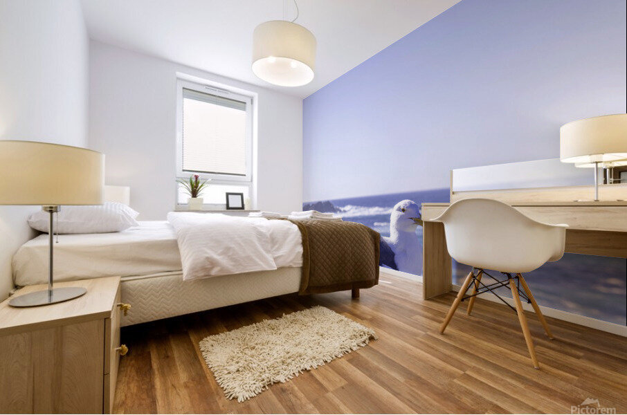 Big Sur Seagull Mural print