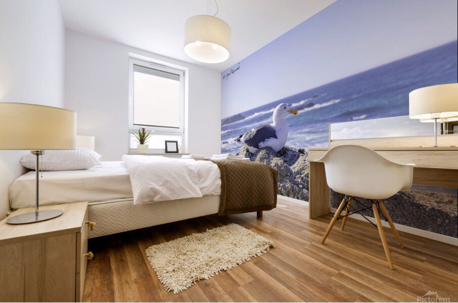 Big Sur Seagull Mural print