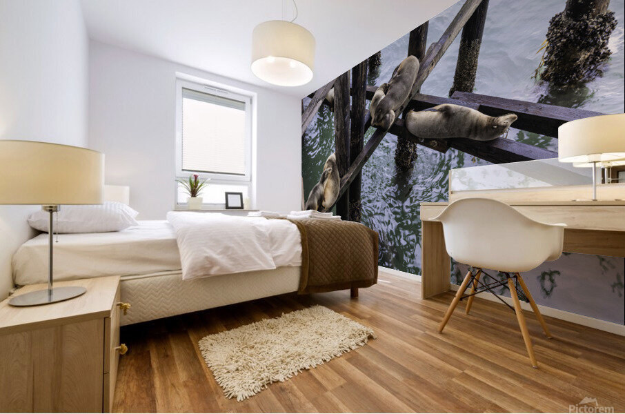 Santa Cruz Seals Mural print