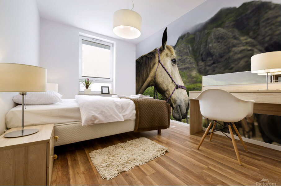 Hawaii Horse Mural print
