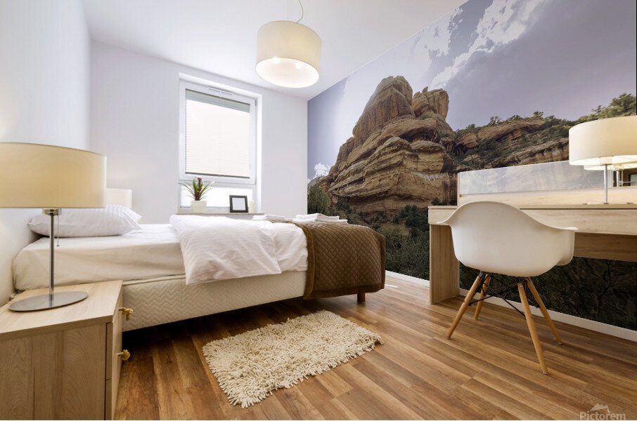 Sedona Mural print