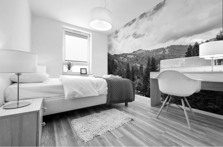 BW Serenity Found in the Alps of Switzerland 1 of 3   HC Stanek   Rare Limited Edition Mural print
