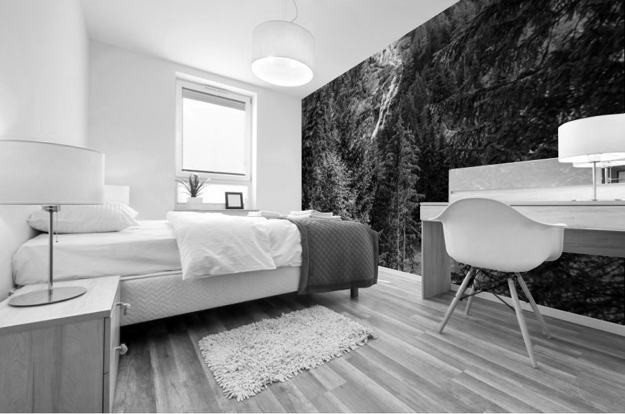 BW Serenity Found in the Alps of Switzerland 3 of 3   HC Stanek   Rare Limited Edition Mural print