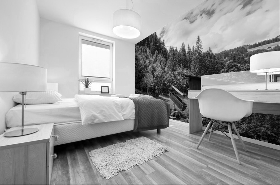 BW Serenity Found in the Alps of Switzerland 2 of 3   HC Stanek   Rare Limited Edition Mural print