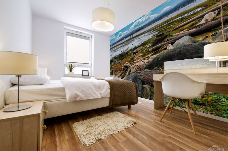 Morning At Filberg Park Mural print
