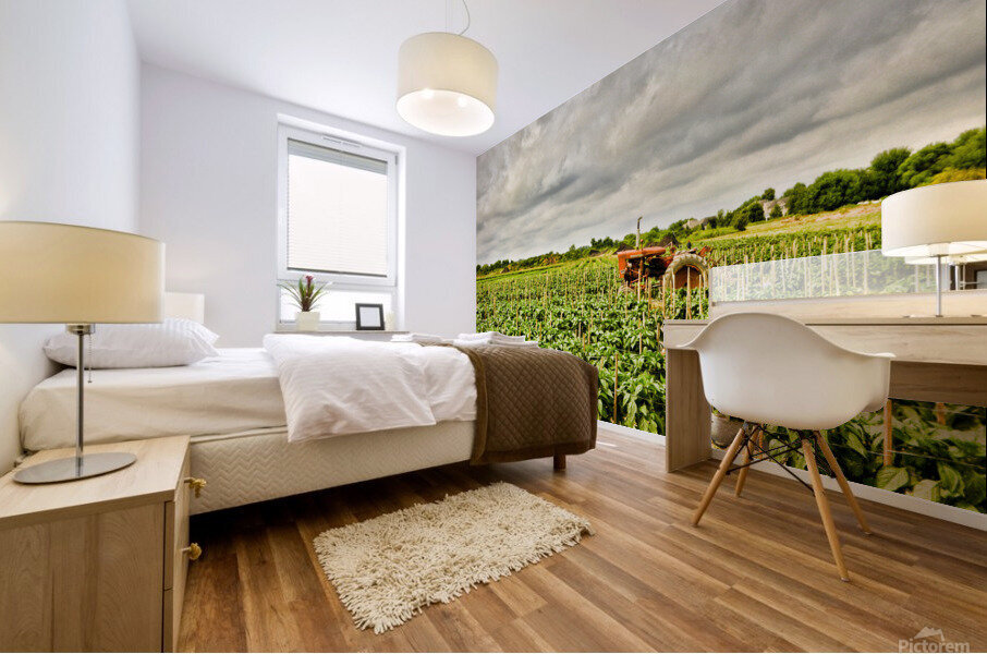 Before the Storm Mural print