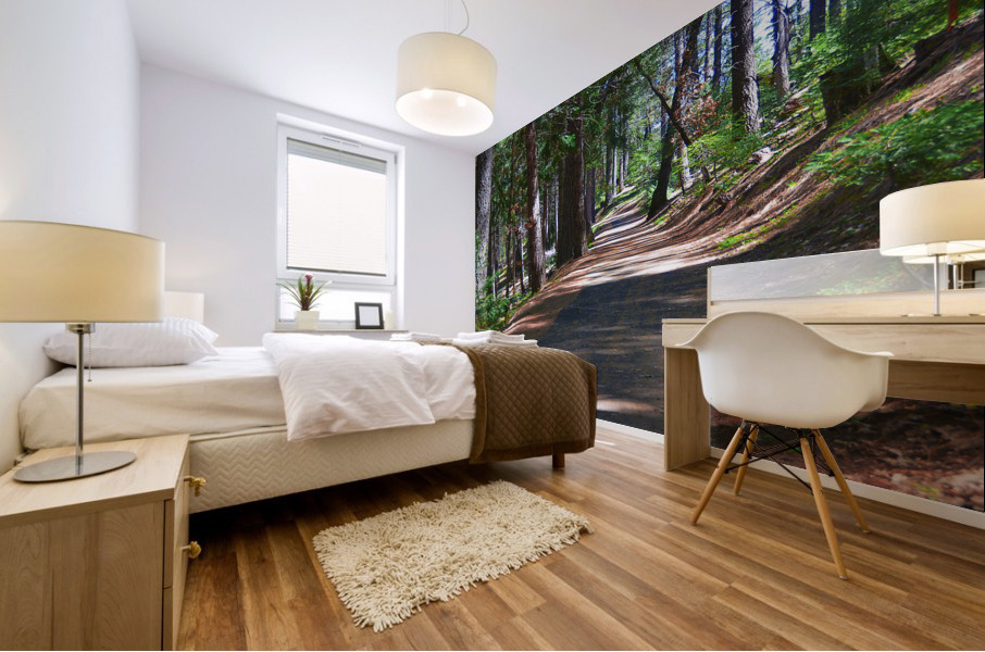 Cedar Trail wide Mural print