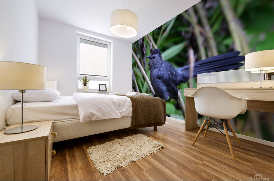 Catbird Mural print