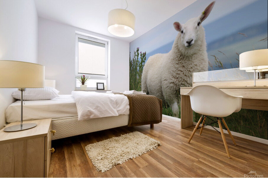 Sheep Mural print