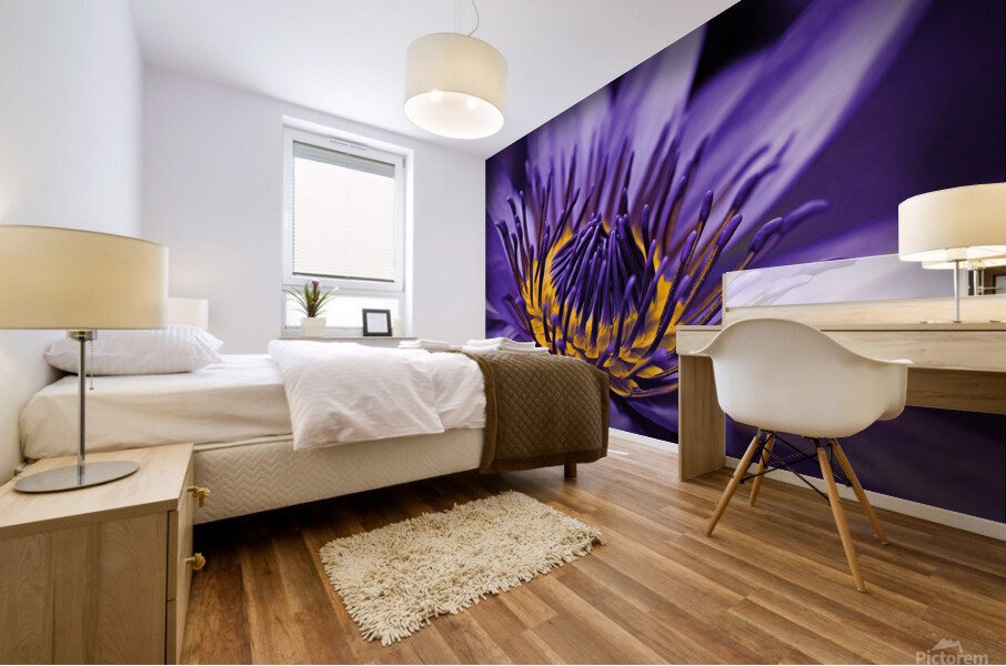 purple lily Mural print
