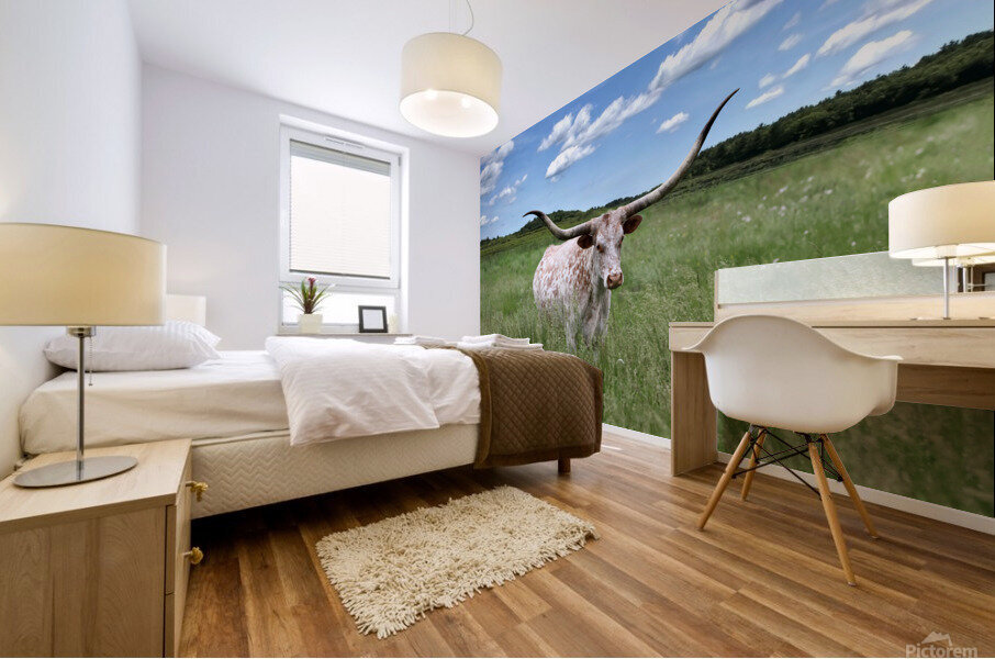 Longhorn Cow In Summer Pasture Mural print