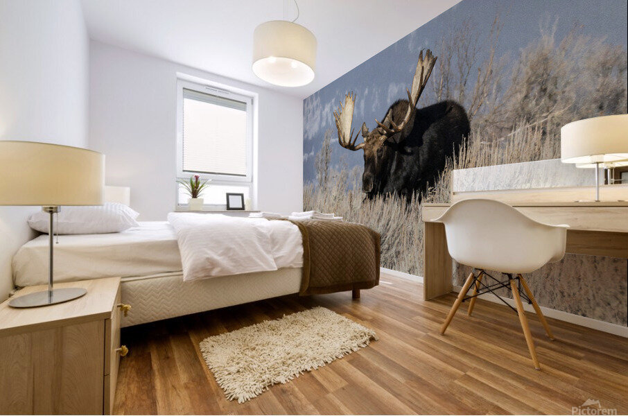 DSC 1165 20x30 Mural print