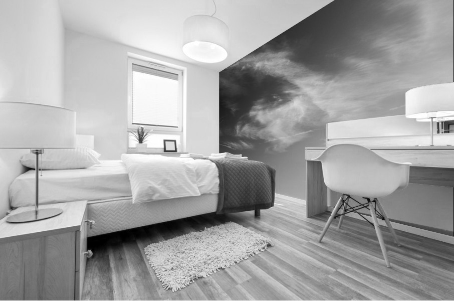 BW Criss Cross 2 of 3 PORTRAIT   Boats and Beautiful Skies Singer Island West Palm Beach Florida Mural print