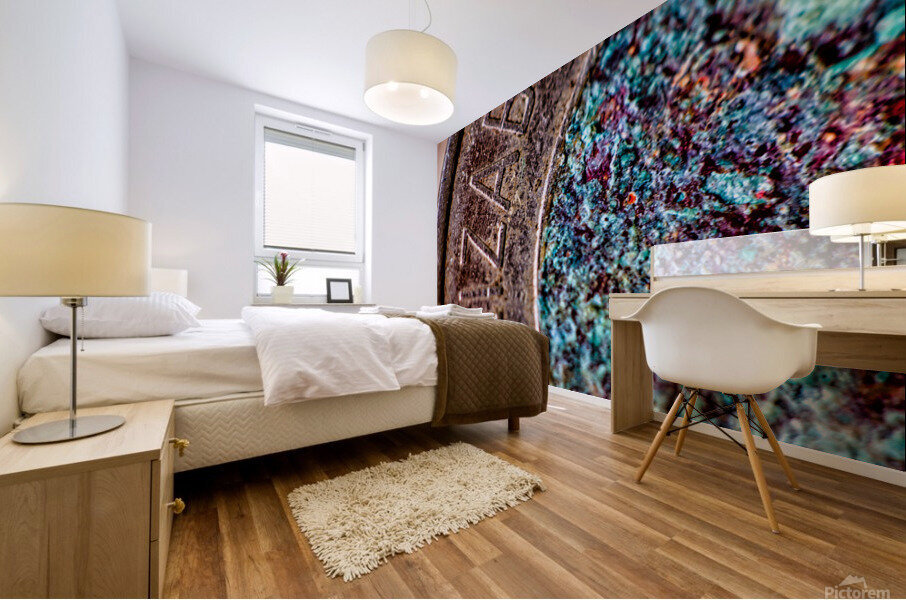 Toonie Mural print