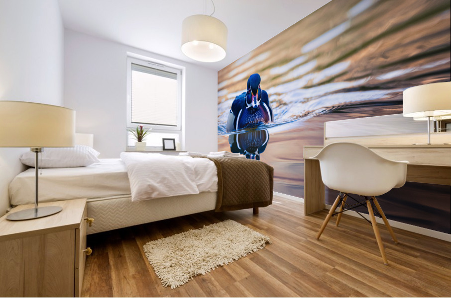 Wood Duck Mural print