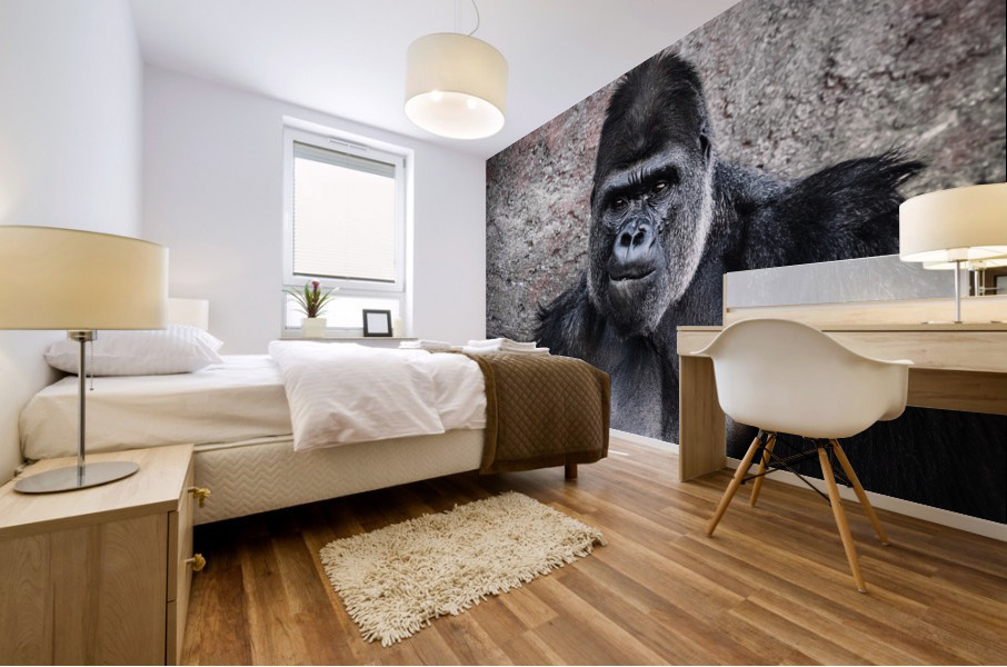 Gorilla Portrait Mural print