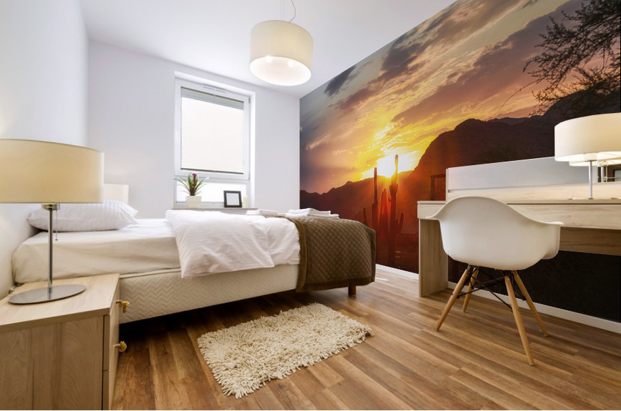 Desert Sunset Mountian Mural print