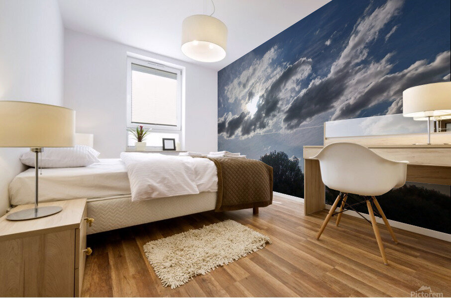 SunBird Mural print