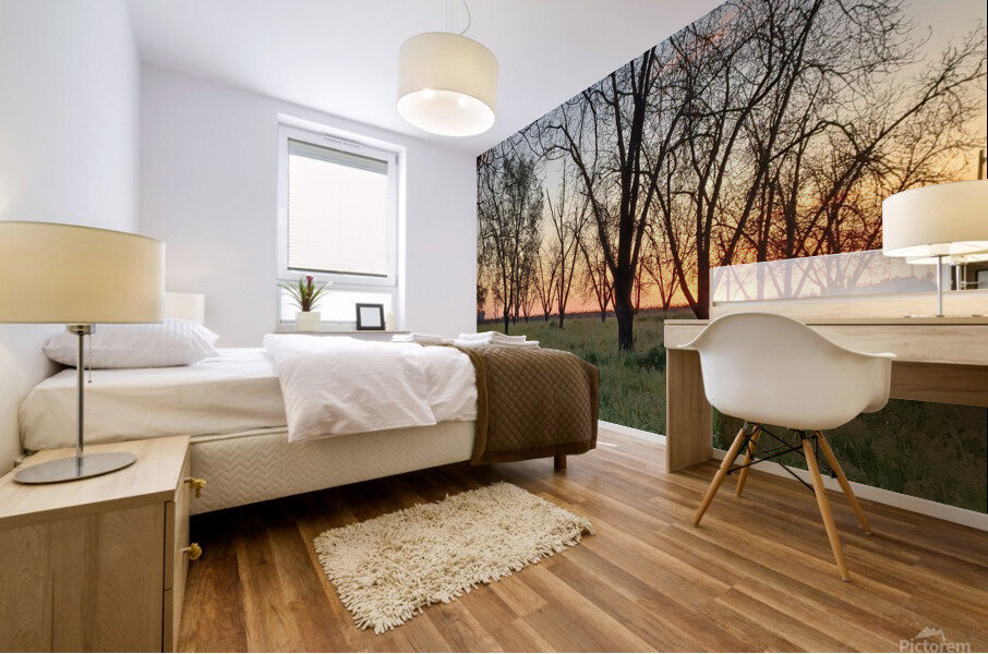 Sunset with Trees Mural print