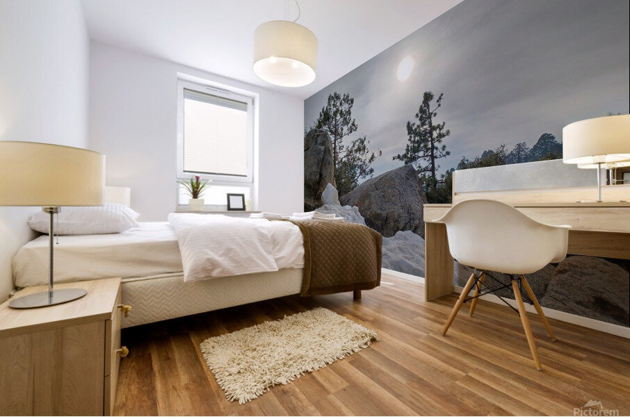Sequoia Snow Mural print