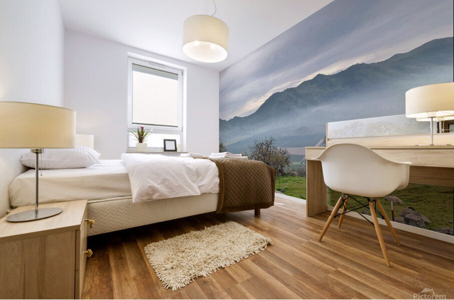 Above the Fog Mural print