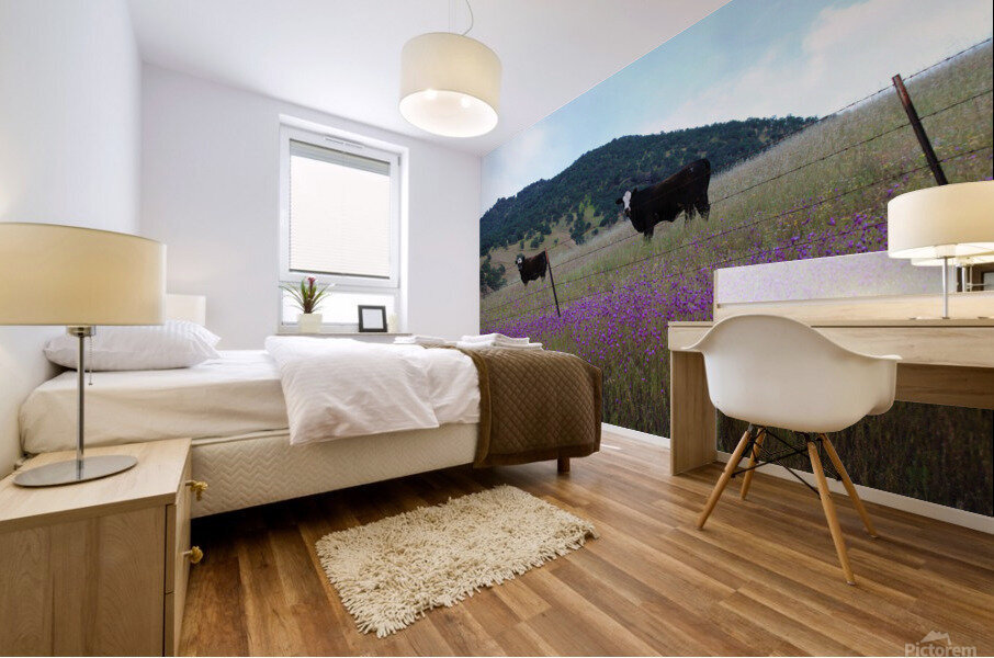 Foothill Cows Mural print
