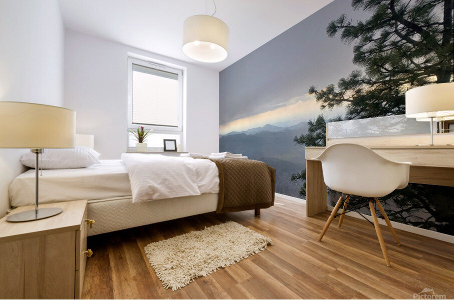 Overlook with Snow Mural print