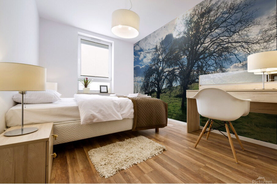 Foothills and Trees Mural print
