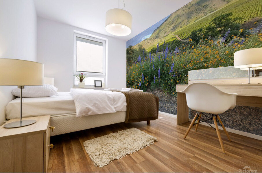 Foothill Spring Mural print