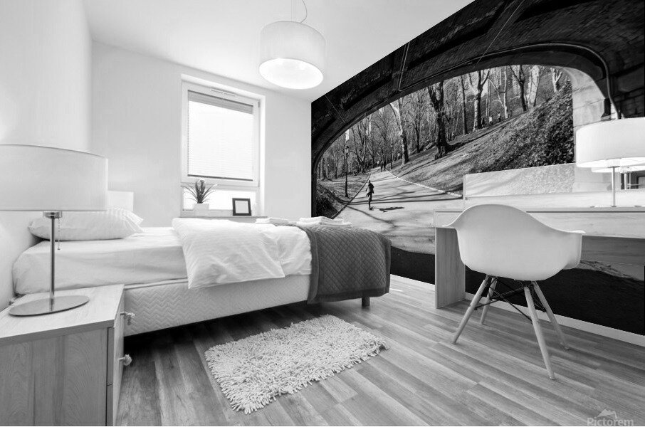 The Boy 02 Mural print