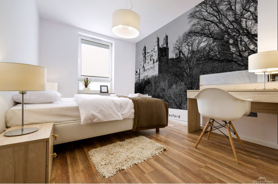 the beresford Mural print