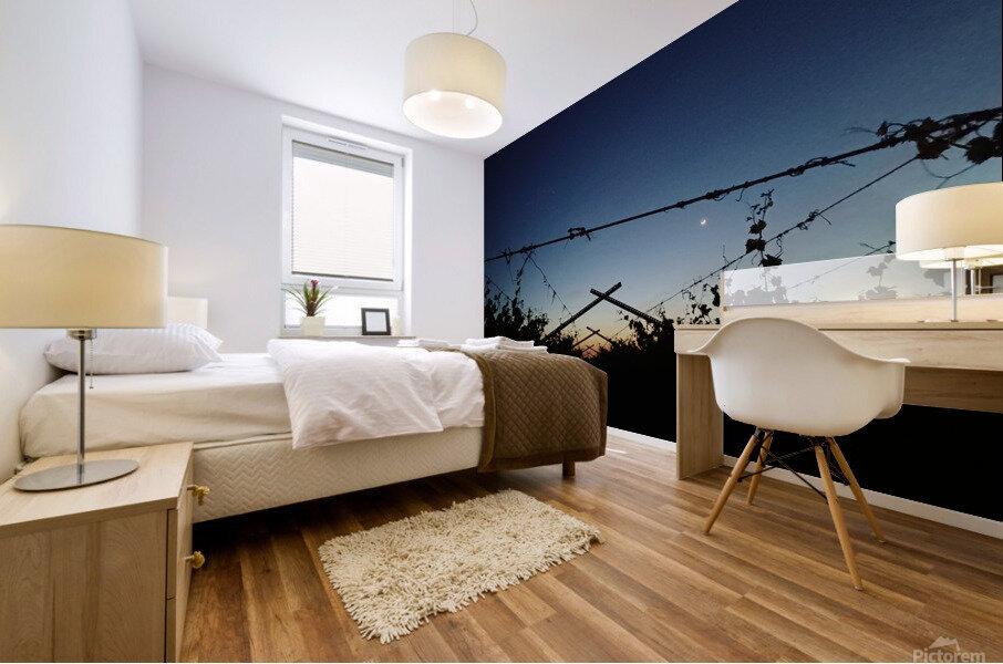Sunset in the Grape Vines Mural print