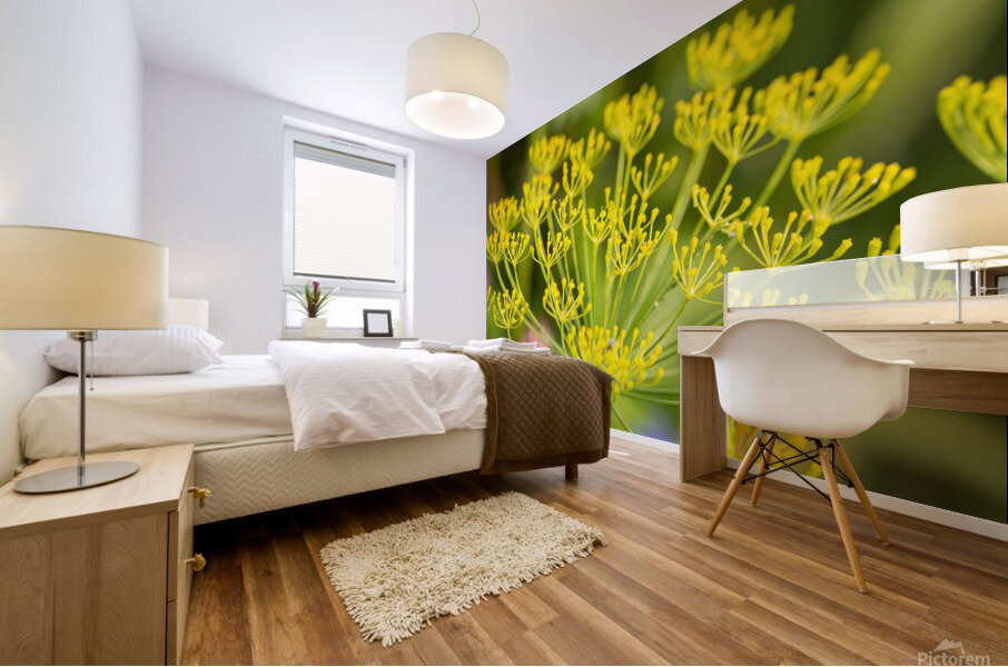 Fennel Flowers  Mural print